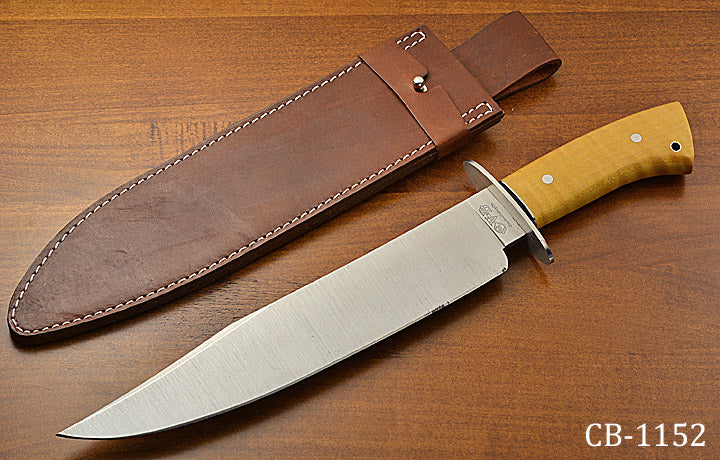 Fisk OVB Bowie