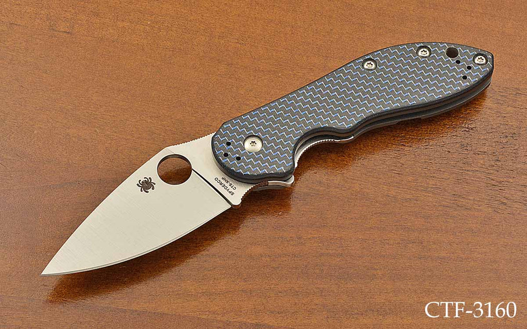 C172CFBLTIP Domino