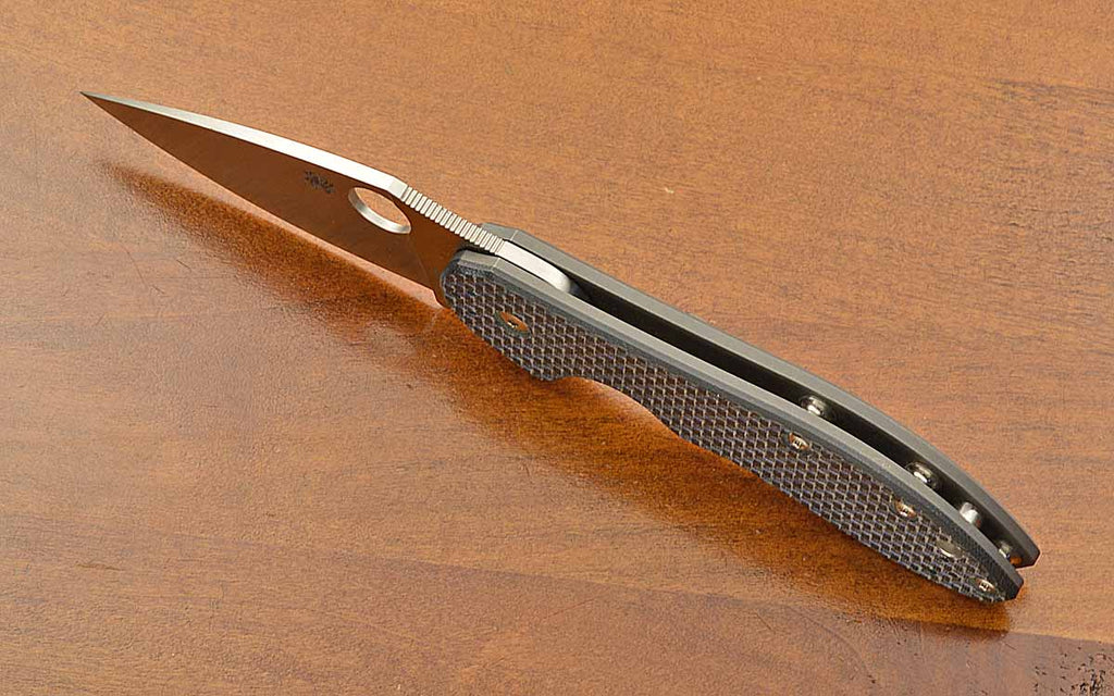 C172CFBLTIP Domino