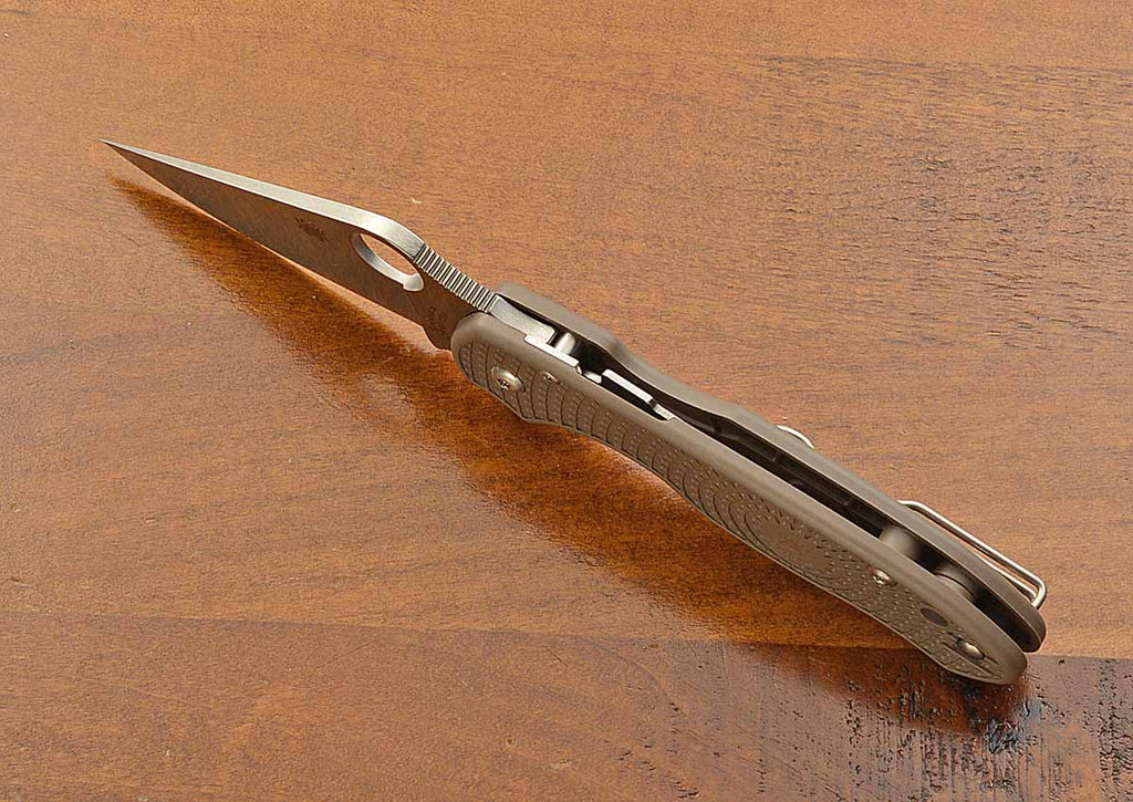 C223PN15V Paramilitary 3